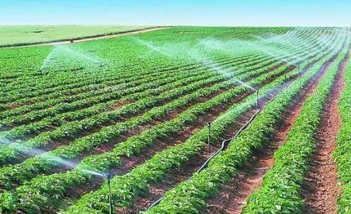 亚洲老年操逼网农田高 效节水灌溉